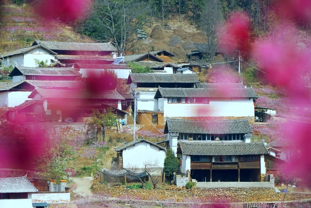 “郭靖”、“黃蓉”喊你來“桃花島”過日子……
