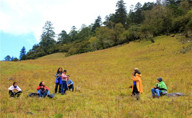 麗江春季旅游指南，每一處都能讓你朋友圈“炸鍋”！
