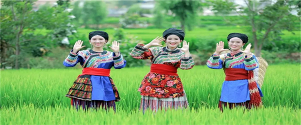 相約水鄉(xiāng)，邂逅激情！華坪縣新莊鄉(xiāng)首屆鄉(xiāng)村旅游節(jié)即將開幕
