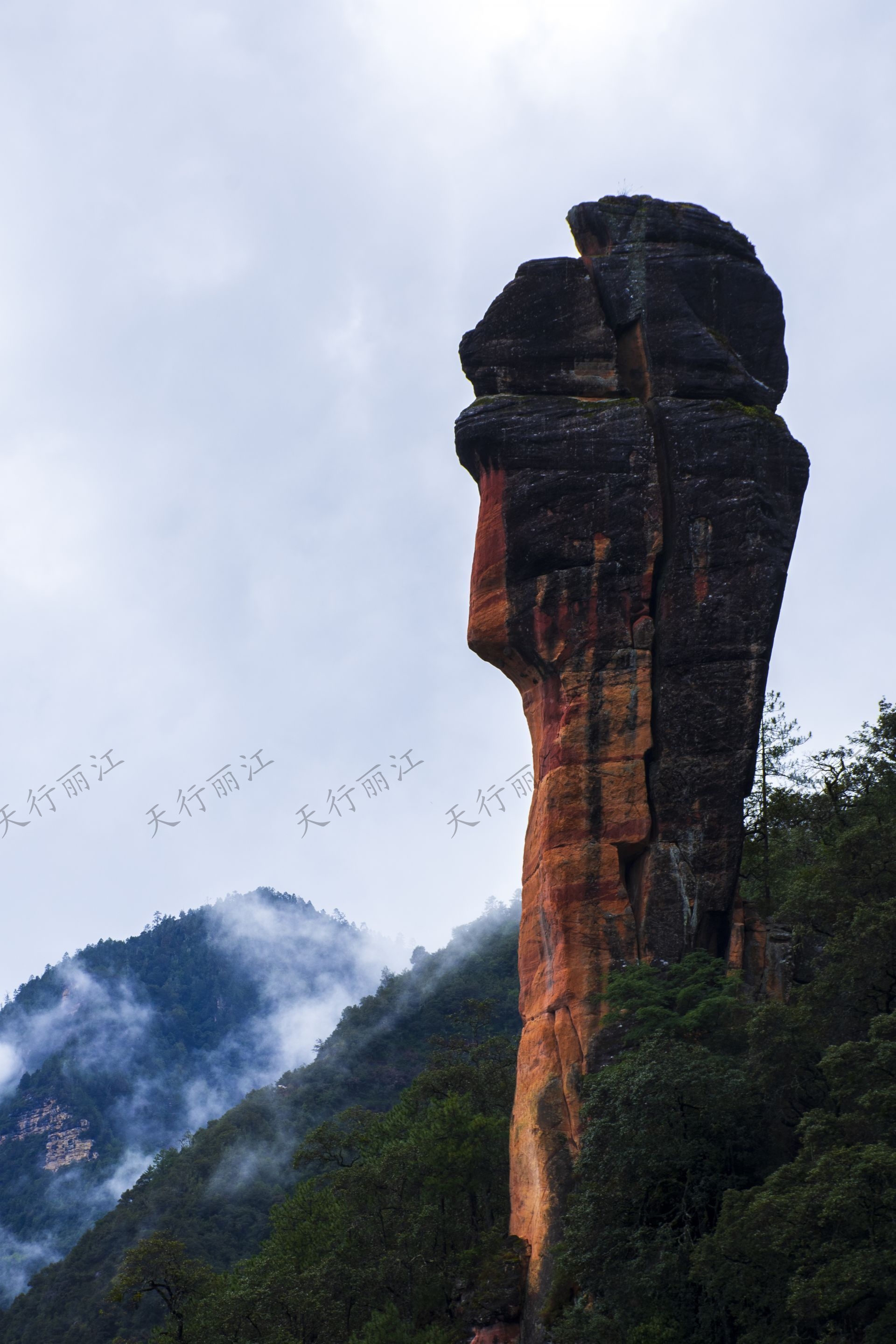 麗江老君山黎明景區(qū)因其避世的清幽、壯美的丹霞，成為了一處令人向往的秘境。 在這里，可以游壯美千龜山。景區(qū)以丹霞地貌聞名，是國內(nèi)面積最大、發(fā)育最完整的丹霞地貌。以千龜山為代表，其形如烏龜?shù)膲邀惥坝^，堪稱中國一絕。游人可乘坐索道，輕松游覽這一奇觀。
