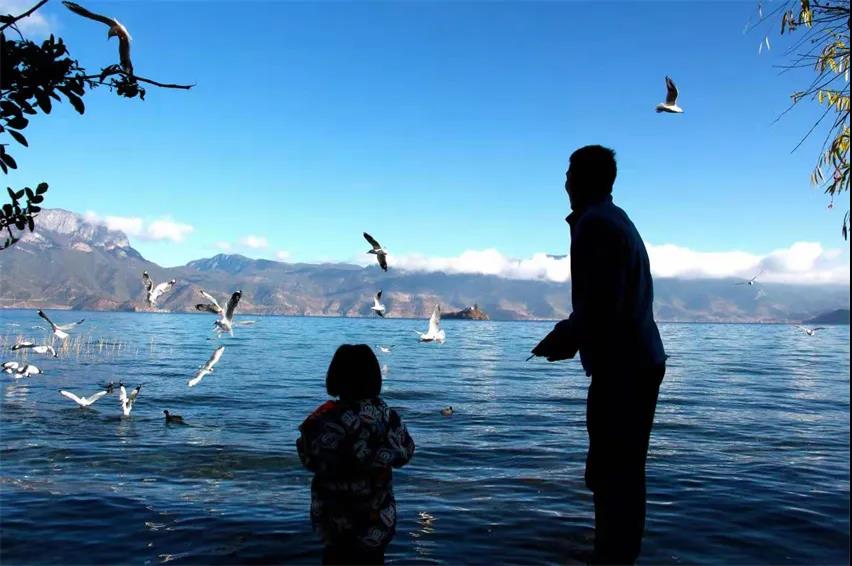 麗江傳媒公司：夢境何處尋？——麗江打卡景點(diǎn)之瀘沽湖旅游攻略