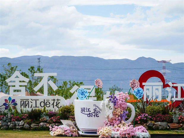 云南旅游,云南旅行社,云南團(tuán)建公司,云南策劃公司,云南會(huì)議會(huì)展公司,麗江旅游,麗江旅行社,麗江團(tuán)建公司,麗江策劃公司：愛(ài)上麗江的理由，從一朵花開(kāi)始